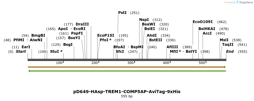 303424_map