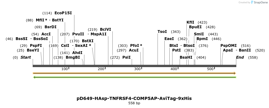 303426_map