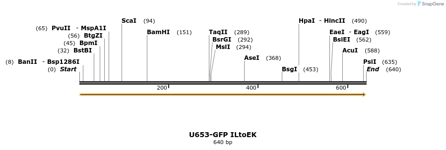 30343_map