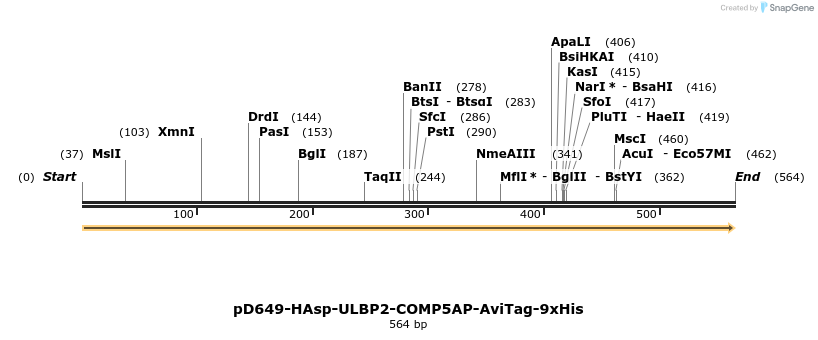 303430_map