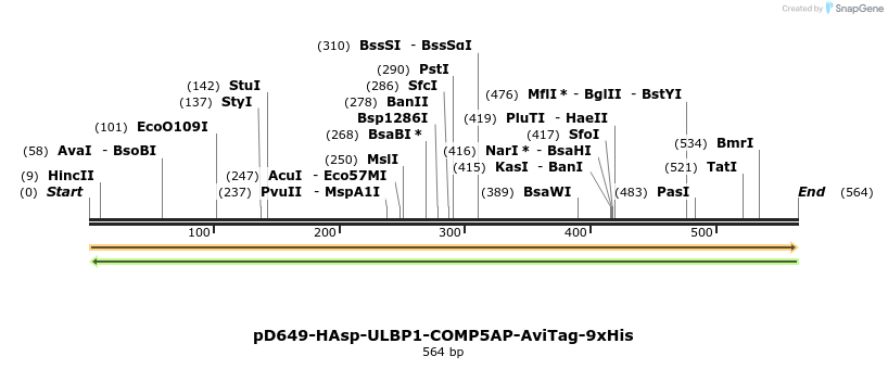 303432_map
