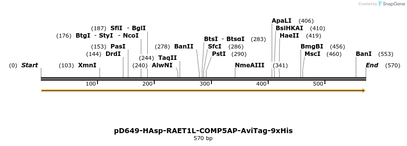 303436_map