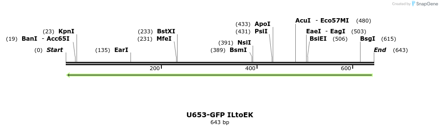 30344_map