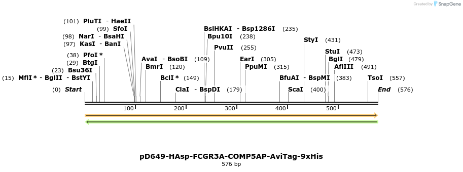 303444_map