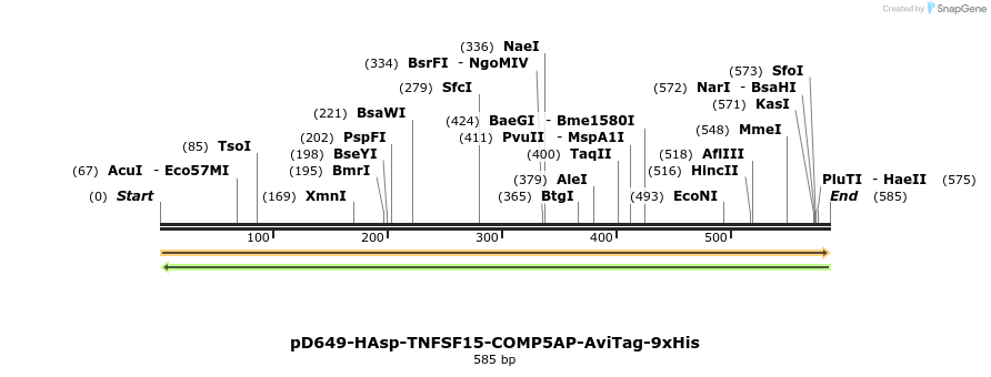 303448_map
