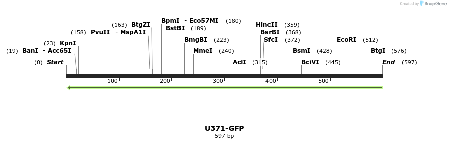 30345_map