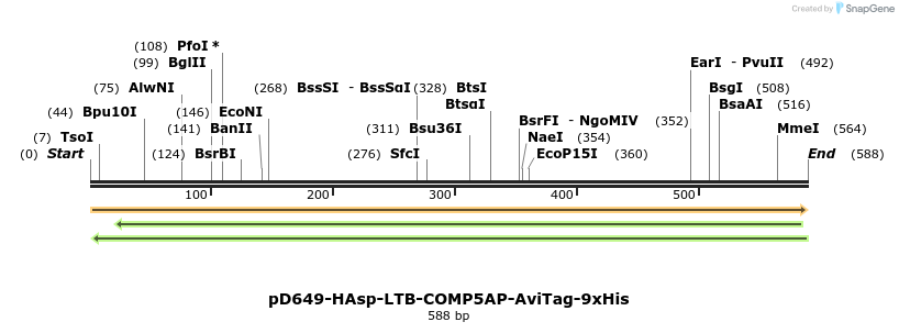 303452_map