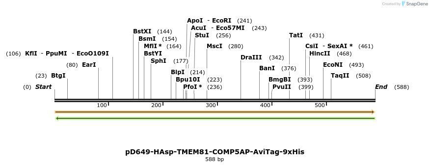 303454_map