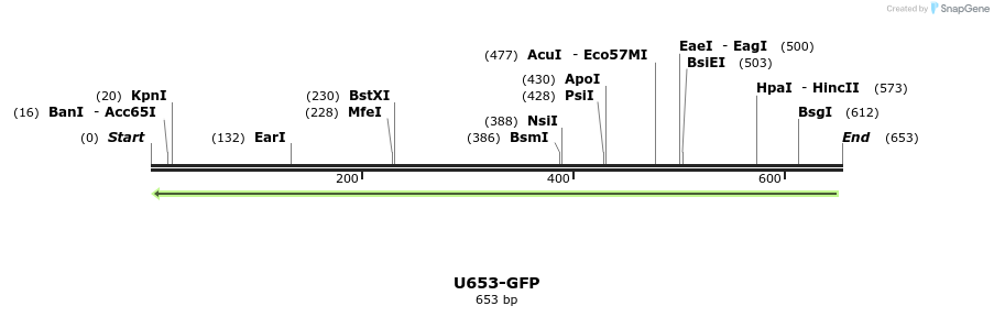 30346_map