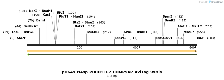303462_map