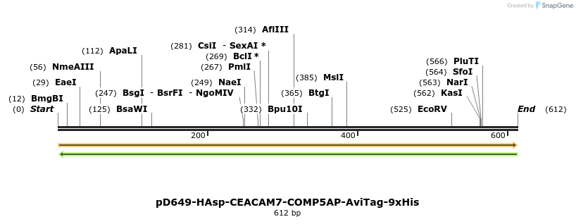 303466_map