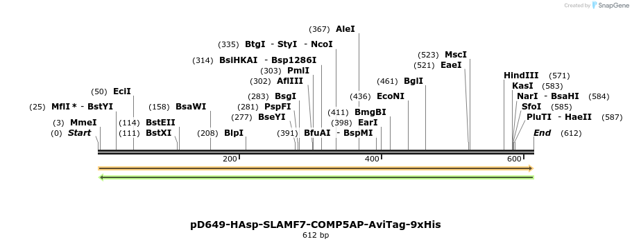 303468_map