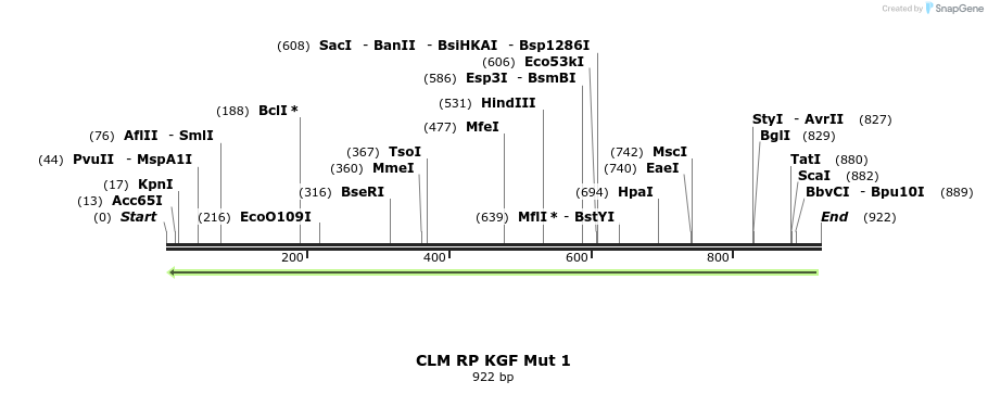 30347_map