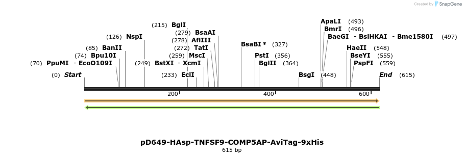 303472_map