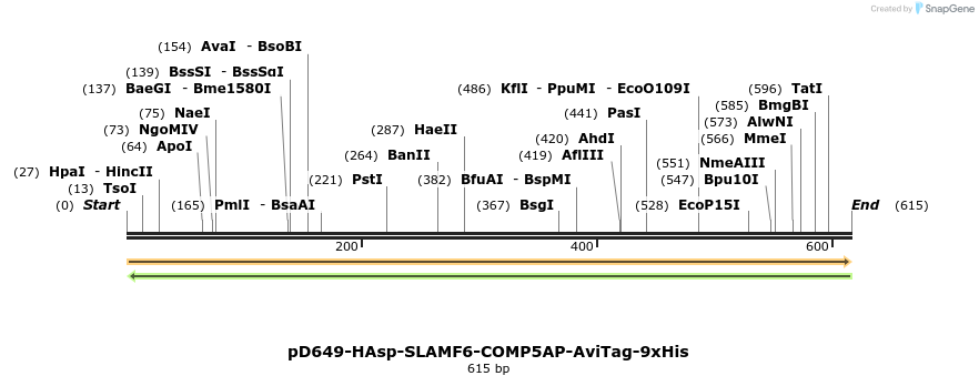 303474_map