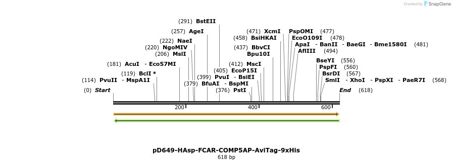 303476_map
