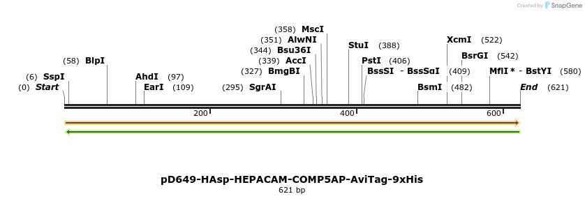 303486_map