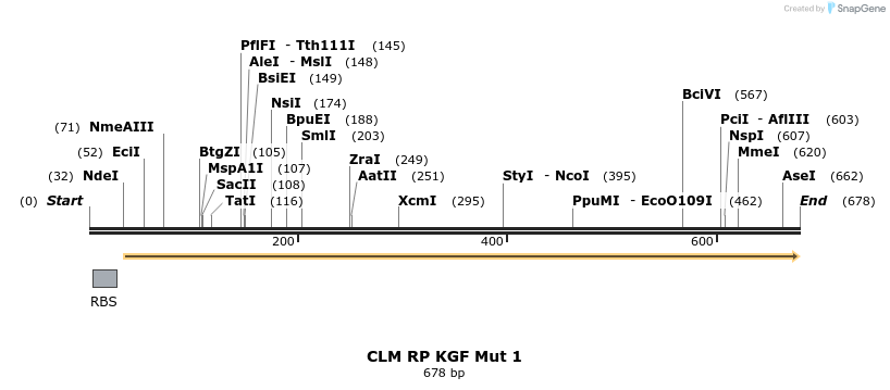 30349_map