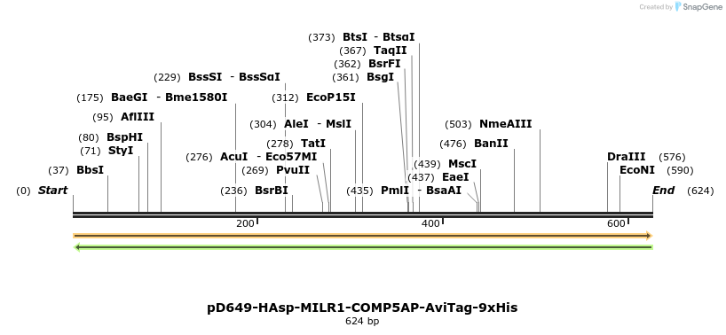 303490_map