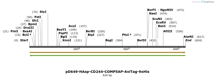 303492_map