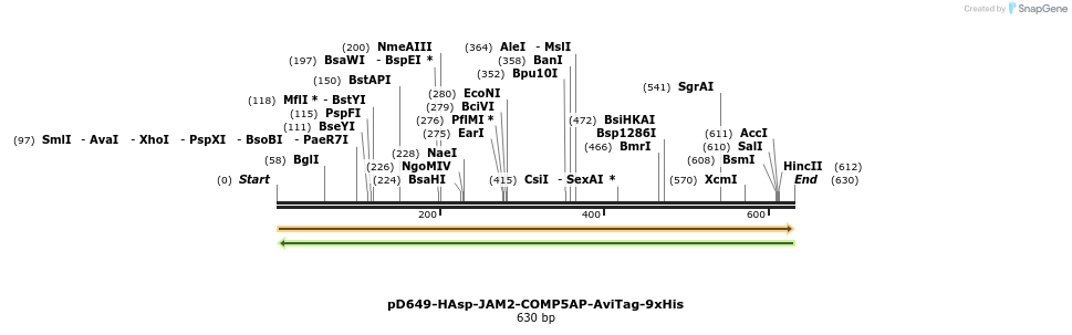 303494_map