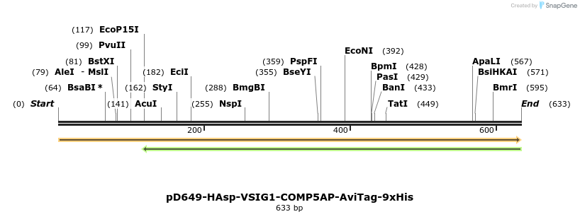 303498_map