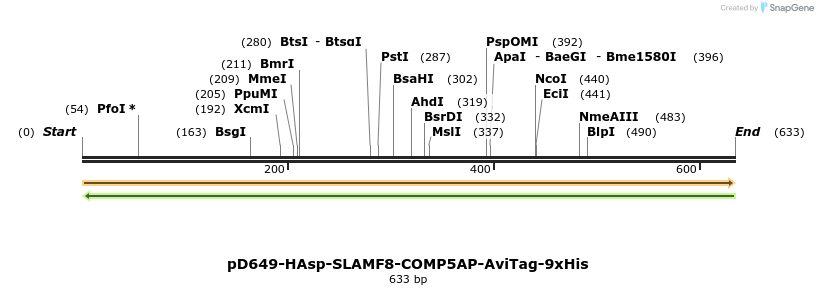 303500_map