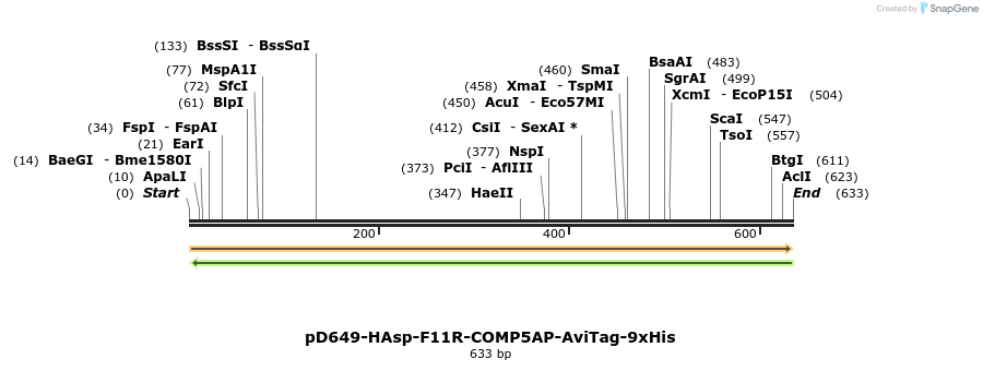 303502_map