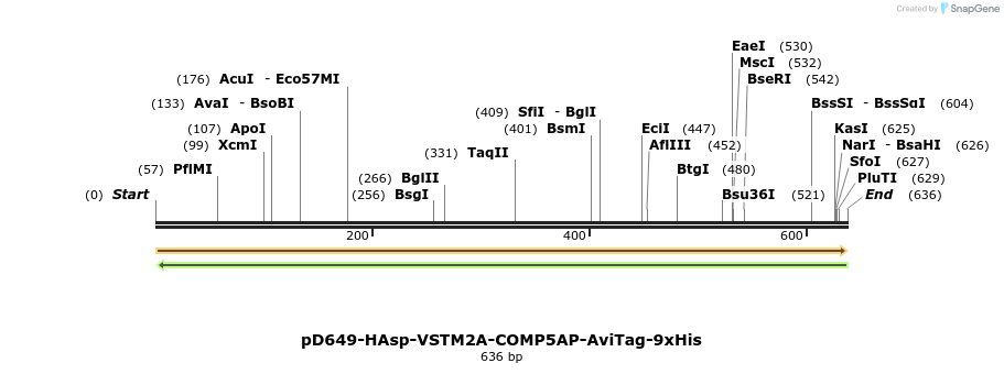 303504_map