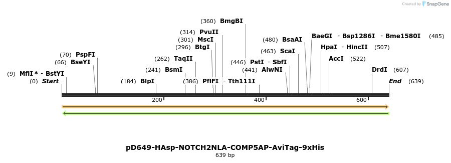 303506_map