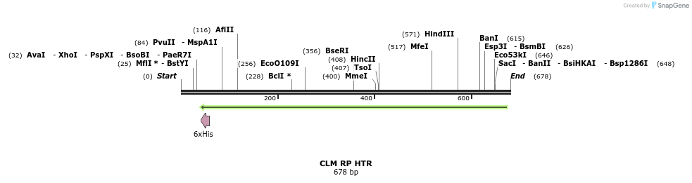 30351_map