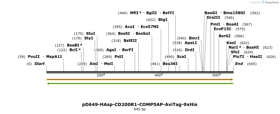 303512_map