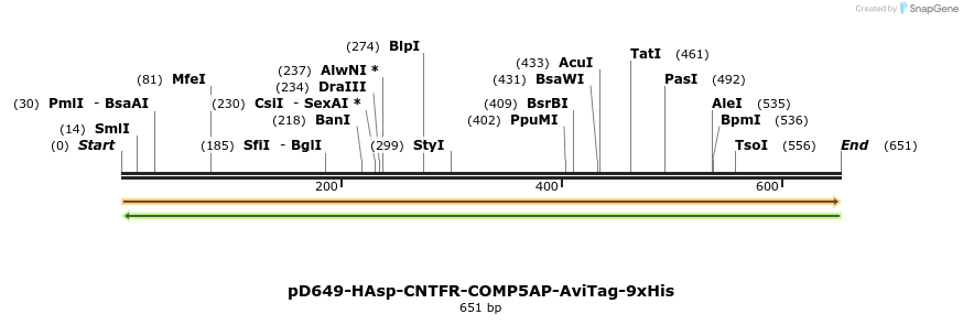 303520_map
