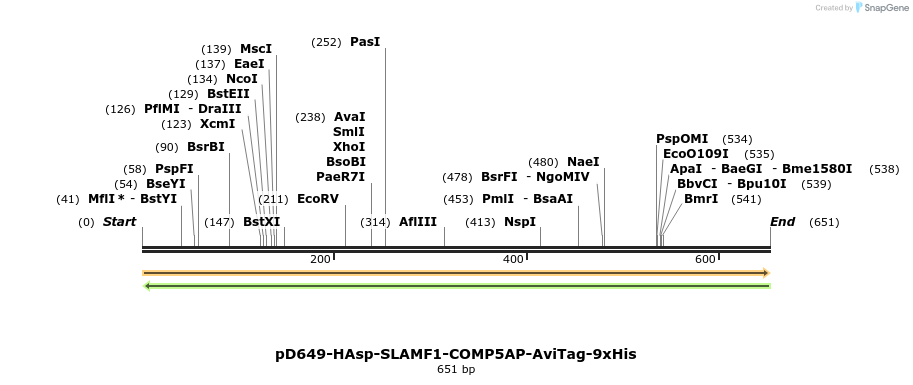 303522_map