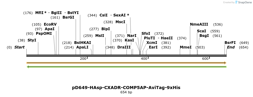 303530_map