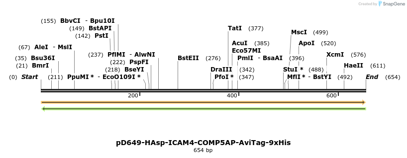 303532_map