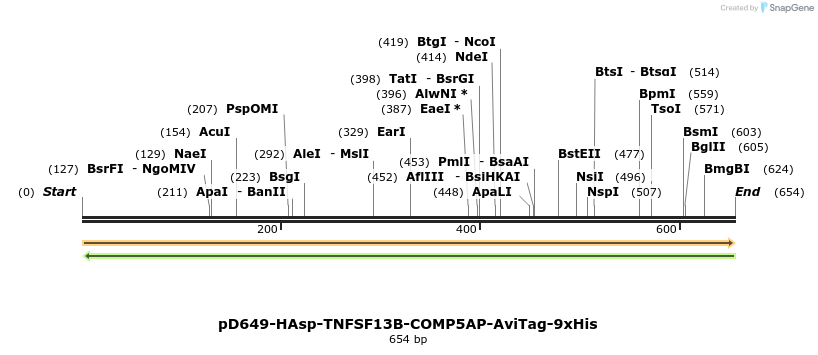 303536_map