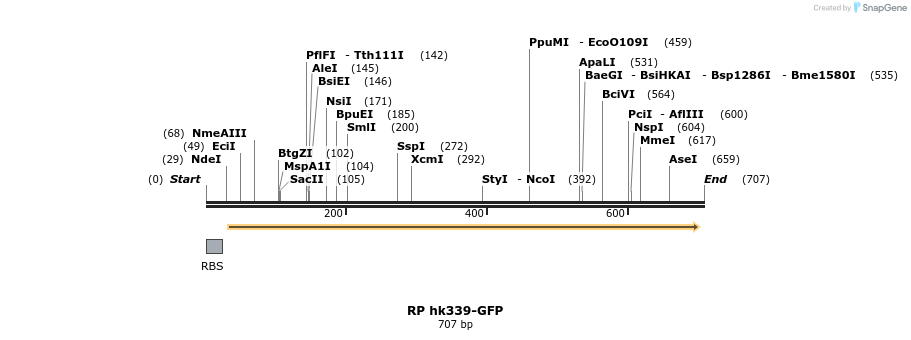 30354_map
