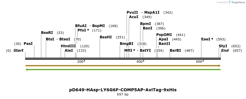 303544_map