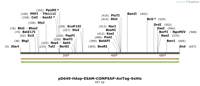 303546_map