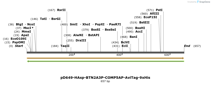 303548_map