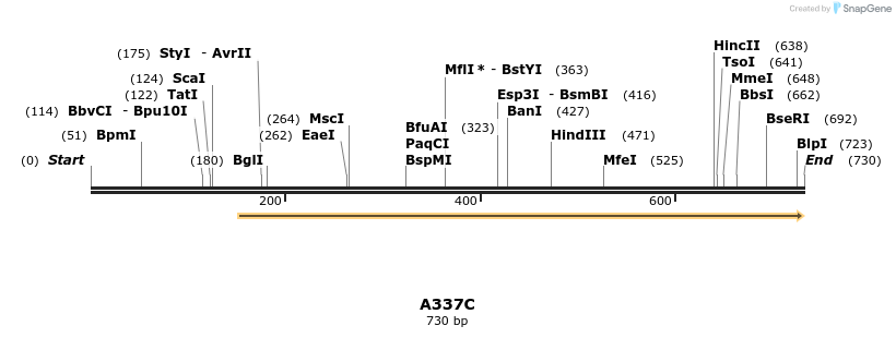 30355_map