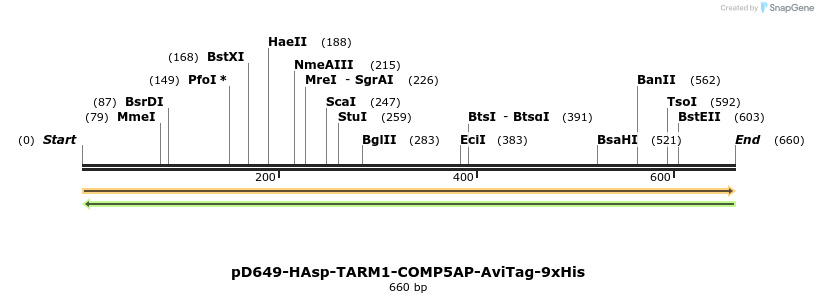 303550_map