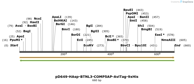 303552_map