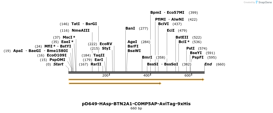 303554_map