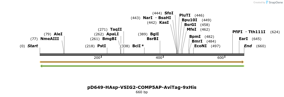 303556_map