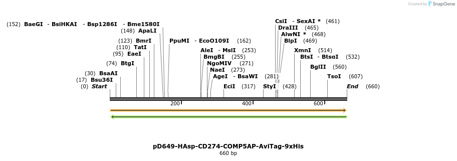303558_map