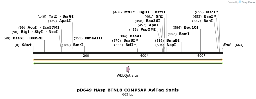 303560_map