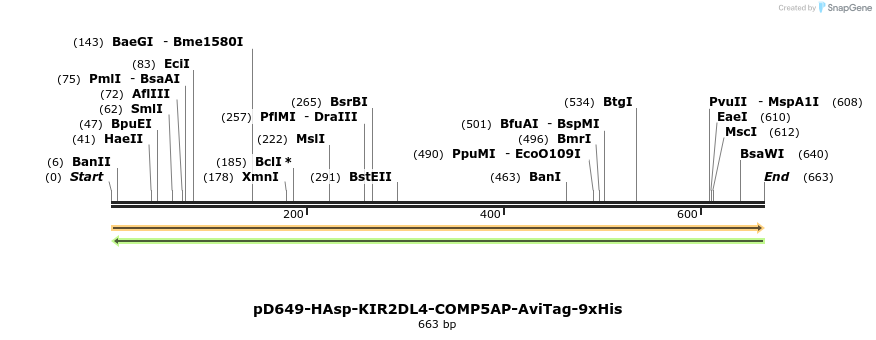 303562_map