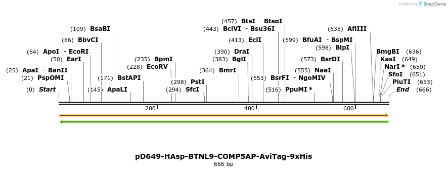 303568_map